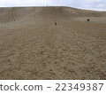 Tottori sand dunes 22349387