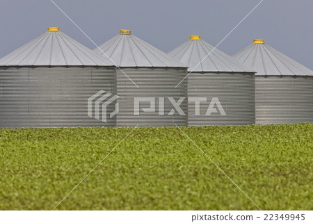 Agriculture Storage Bins Granaries 22349945
