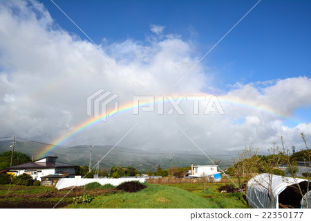 山崎雨的天空中有彩虹 山崎雨的天空中有彩虹 22350177