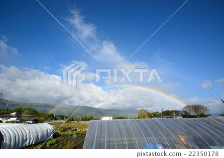 山崎雨的天空中有彩虹 山崎雨的天空中有彩虹 22350178