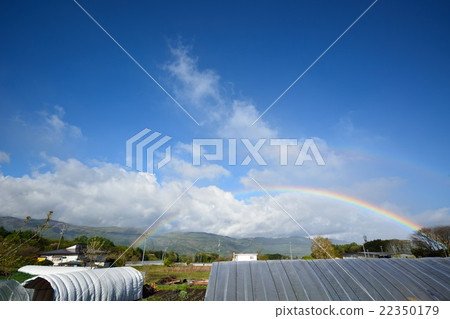 山崎雨的天空中有彩虹 山崎雨的天空中有彩虹 22350179
