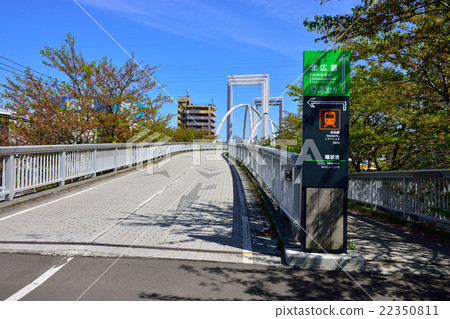 循環夢之橋 循環夢之橋 22350811