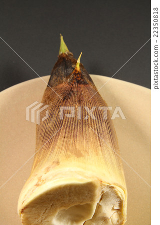 Menchen sect 22350818