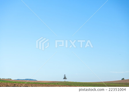 Biei Hokkaido沒有名字 22351004
