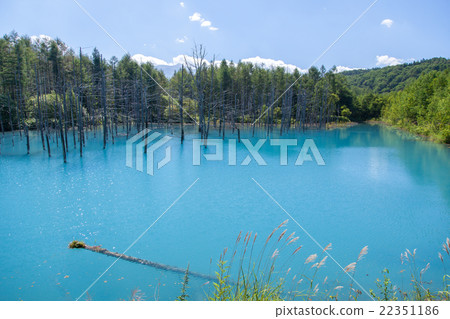 Hokkaido Blue Pond 22351186
