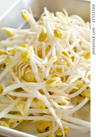 Bean sprouts Bean sprouts 22352169