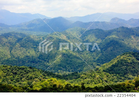 Aerial view of the forest 22354404
