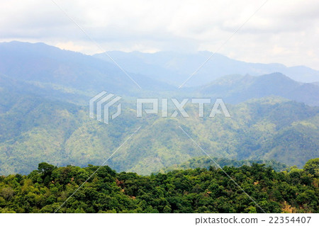 Aerial view of the forest 22354407