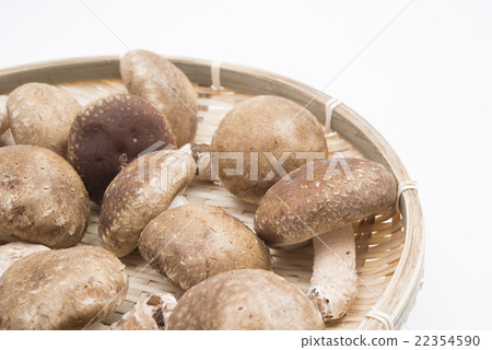 香菇符合竹筍 香菇符合竹筍 22354590