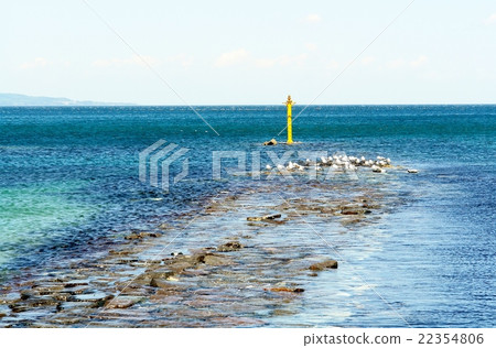 Amaharakaigan 22354806