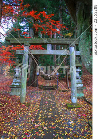 秋天的白川關 22355289