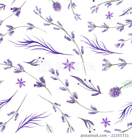 Watercolor Purple Lavender Pattern Watercolor Purple Lavender Pattern 22355731