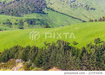 Beautiful landscape of the New Zealand Beautiful landscape of the New Zealand 22355838