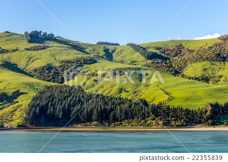 Sheep and pastures in the New Zealand Sheep and pastures in the New Zealand 22355839