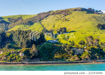 Sheep and pastures in the New Zealand 22355840