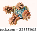 succulent plants 22355908