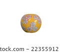 Aromatherapy and decoration 22355912