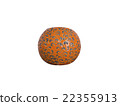 Aromatherapy and decoration 22355913