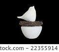 Bird and aromatherapy 22355914