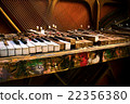 Old broken piano 22356380