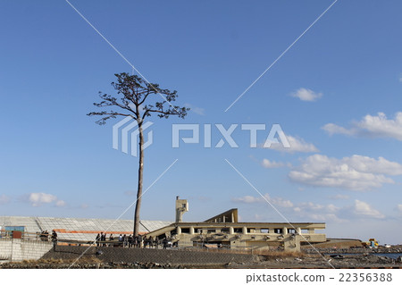 奇蹟的奇蹟 奇蹟的奇蹟 22356388