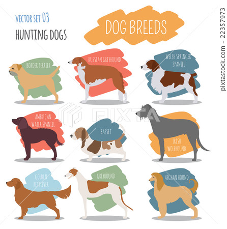Dog breeds. Hunting dog set icon. Flat style 22357973