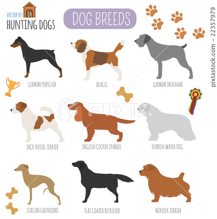 Dog breeds. Hunting dog set icon. Flat style 22357979