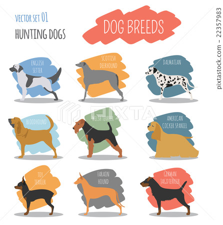 Dog breeds. Hunting dog set icon. Flat style Dog breeds. Hunting dog set icon. Flat style 22357983
