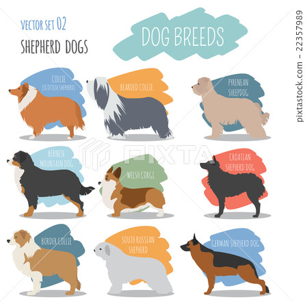 Dog breeds. Shepherd dog set icon. Flat style Dog breeds. Shepherd dog set icon. Flat style 22357989