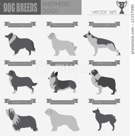 Dog breeds. Shepherd dog set icon. Flat style Dog breeds. Shepherd dog set icon. Flat style 22357990