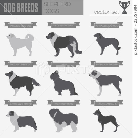Dog breeds. Shepherd dog set icon. Flat style 22357994