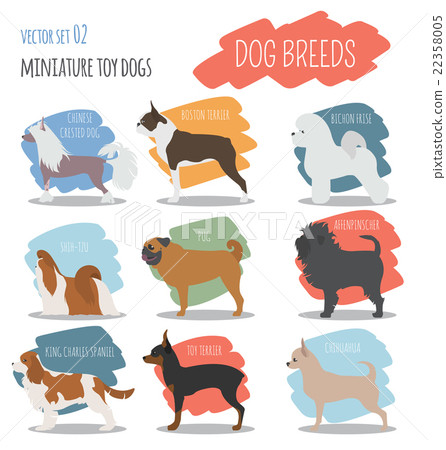 Dog breeds. Miniature toy dog set icon. Flat style - Stock Illustration  [22358005] - PIXTA