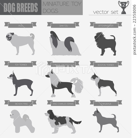 Dog breeds. Miniature toy dog set icon. Flat style Dog breeds. Miniature toy dog set icon. Flat style 22358006
