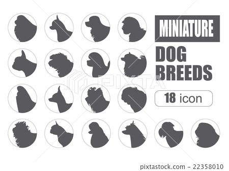 Dog breeds. Miniature toy dog set icon. Flat style Dog breeds. Miniature toy dog set icon. Flat style 22358010