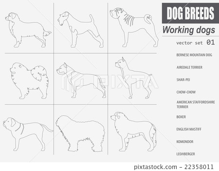 Dog breeds. Working (watching) dog set icon. 22358011