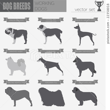 Dog breeds. Working (watching) dog set icon. Dog breeds. Working (watching) dog set icon. 22358018