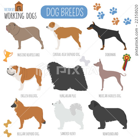 Dog breeds. Working (watching) dog set icon.  22358020