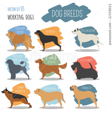 Dog breeds. Working (watching) dog set icon. Dog breeds. Working (watching) dog set icon. 22358022