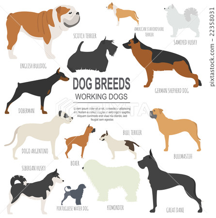 Dog breeds. Working (watching) dog set icon. Dog breeds. Working (watching) dog set icon. 22358031