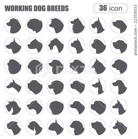 Dog breeds. Working (watching) dog set icon. Dog breeds. Working (watching) dog set icon. 22358033