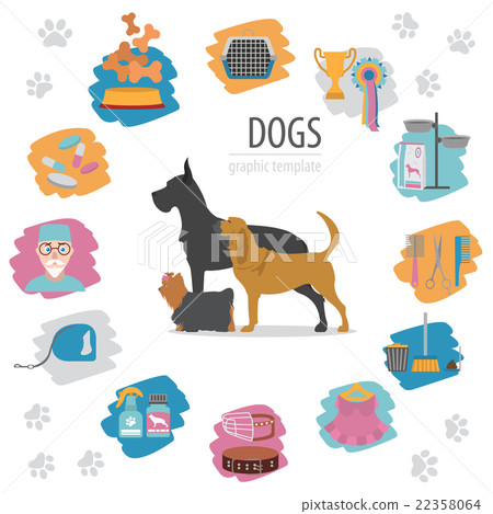Dog info graphic template. Heatlh care, vet 22358064