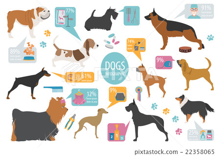 Dog info graphic template. Heatlh care, vet 22358065