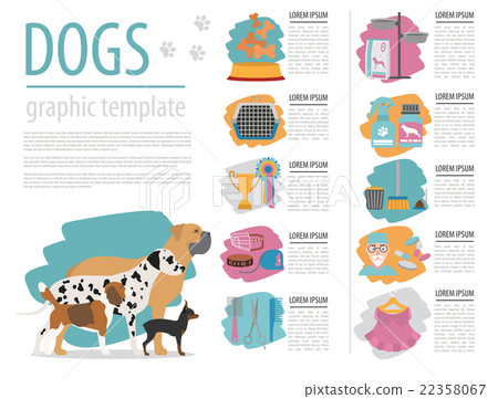 Dog info graphic template. Heatlh care, vet 22358067