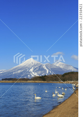 會津萬代山 22358421