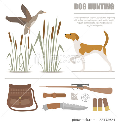 hound dog hunting supplies