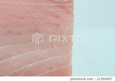 金槍魚生魚片白色背景 22360867