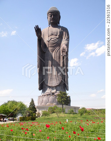 Ushiku偉大的佛和罌粟領域 Ushiku偉大的佛和罌粟領域 22361516