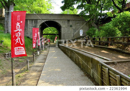 Keyaki Namiki Promenade Keyaki Namiki Promenade 22361994