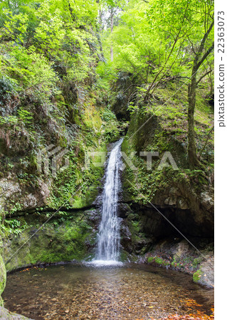 Seventh generation waterfall 22363073