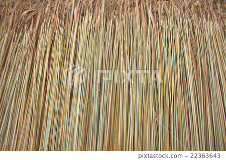 texture of thatch texture of thatch 22363643